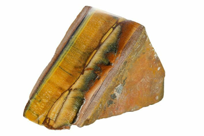 Polished Tiger's Eye Section - South Africa #148246